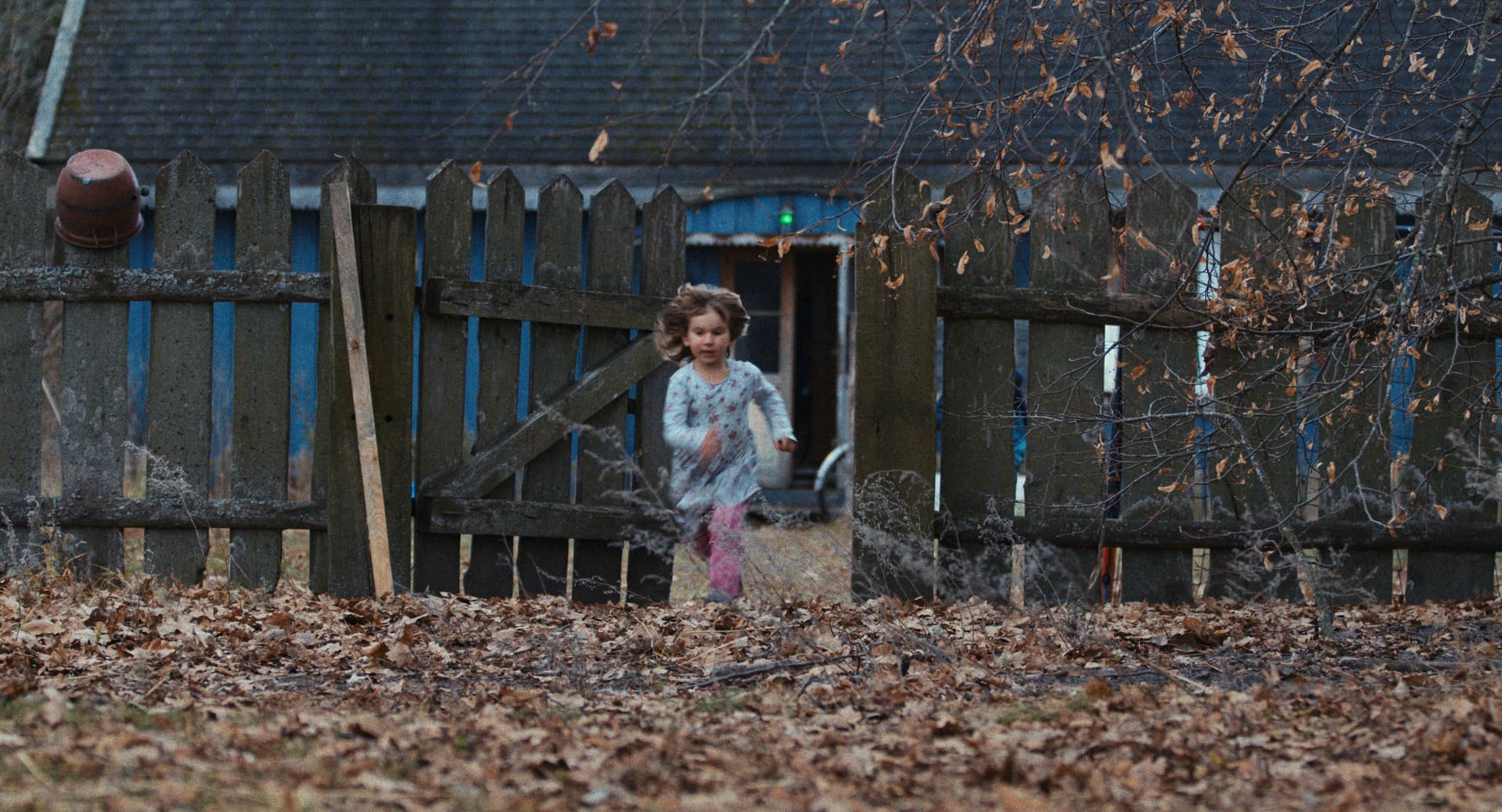 FOREST still 2