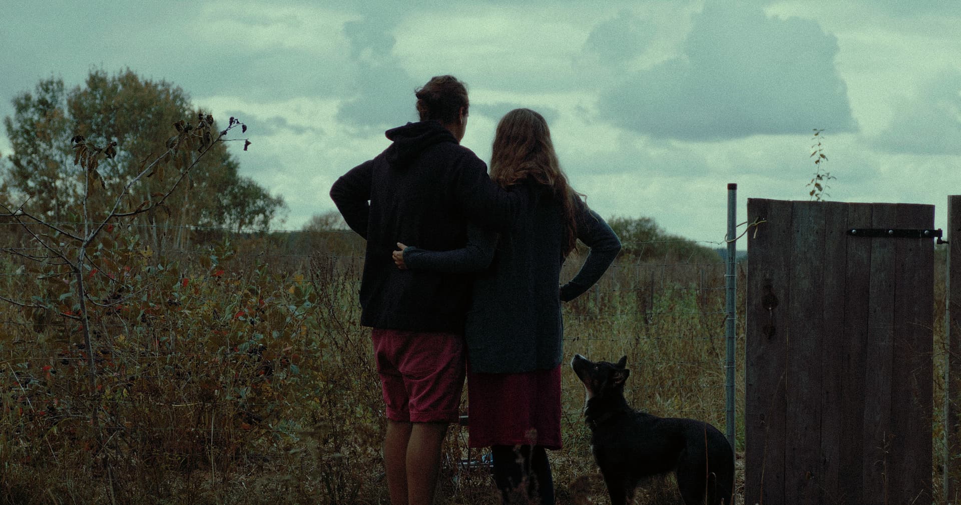 FOREST still